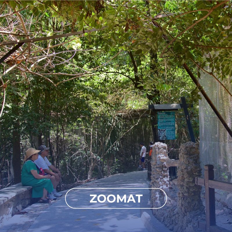 ZOOMAT